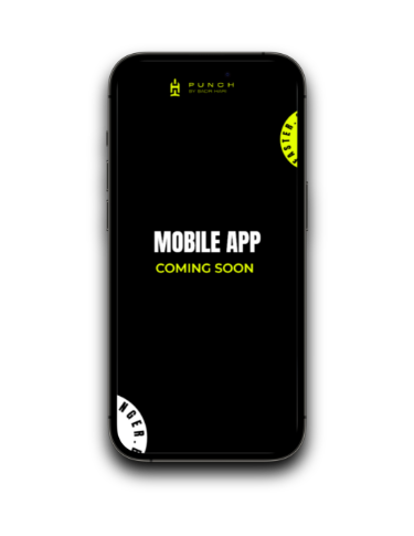 Application Mobile Punch